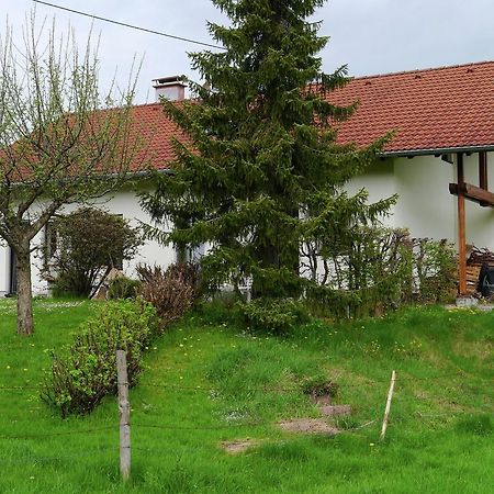 Cosy Apartment In Allg U With Garden 厄伊-米特贝格 外观 照片